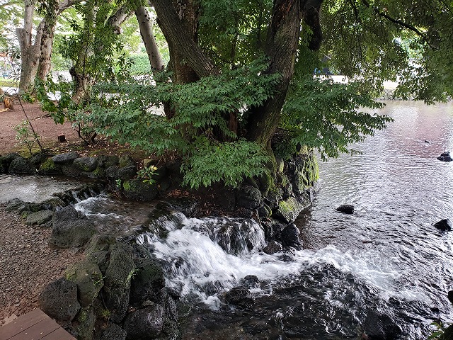 f:id:yuuko1220:20190823161441j:plain f:id:yuuko1220:20190823161441j:plain