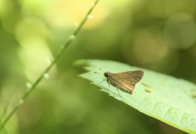 f:id:yuuko1220:20190902142627j:plain f:id:yuuko1220:20190902142627j:plain