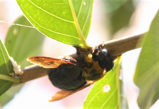 f:id:yuuko1220:20190902142635j:plain f:id:yuuko1220:20190902142635j:plain