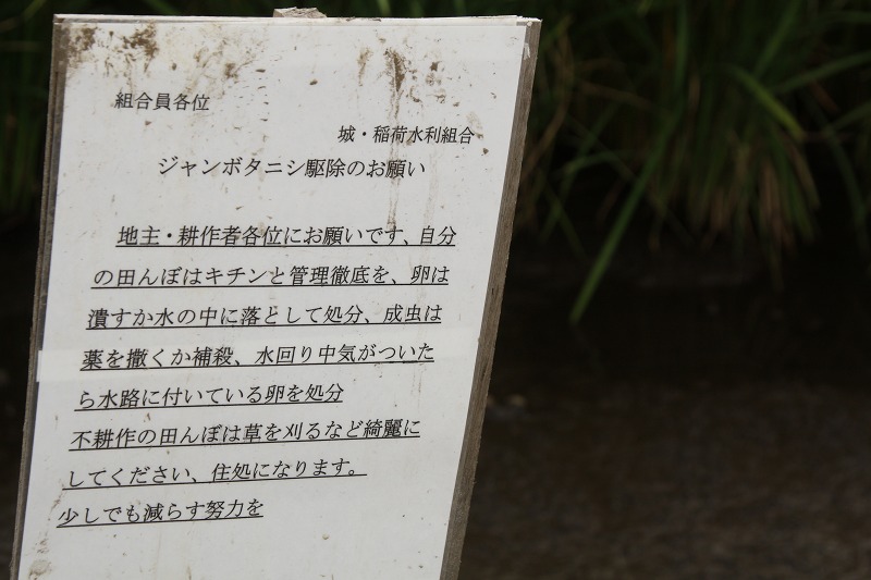 f:id:yuuko1220:20190902143430j:plain f:id:yuuko1220:20190902143430j:plain