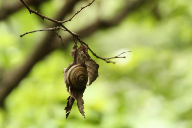 f:id:yuuko1220:20190902143452j:plain f:id:yuuko1220:20190902143452j:plain