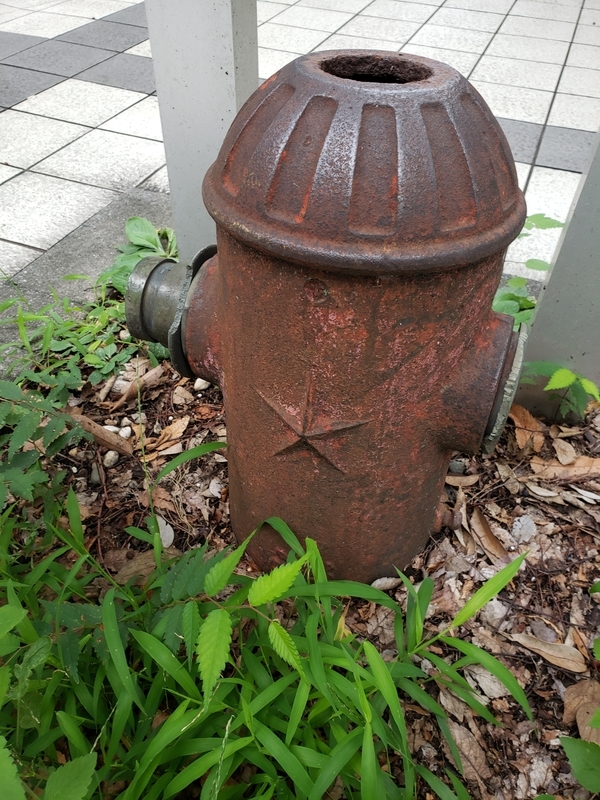 f:id:yuuko1220:20190913215512j:plain f:id:yuuko1220:20190913215512j:plain
