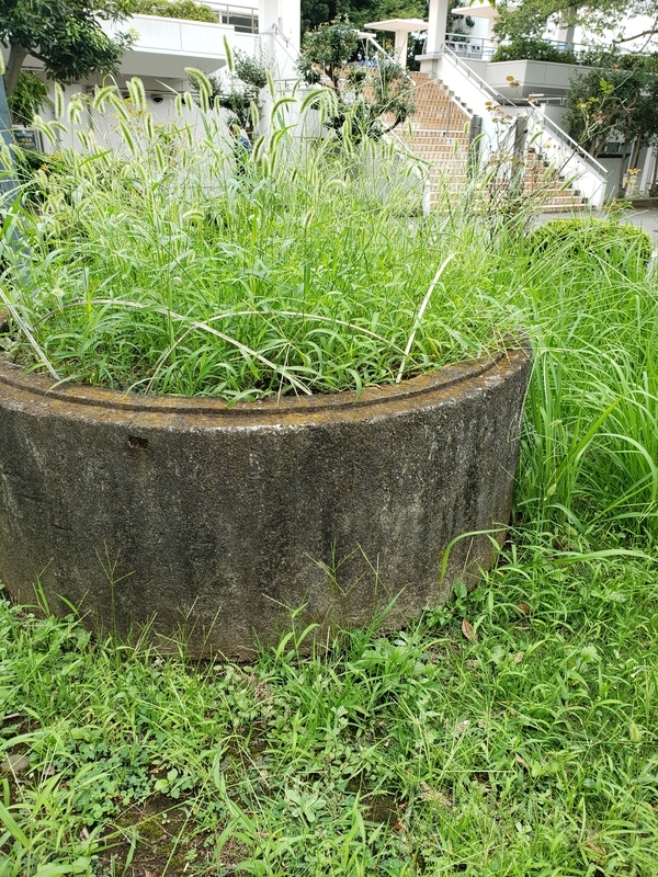 f:id:yuuko1220:20190913215534j:plain f:id:yuuko1220:20190913215534j:plain