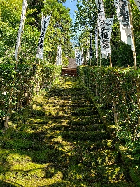 f:id:yuuko1220:20190926204552j:plain f:id:yuuko1220:20190926204552j:plain