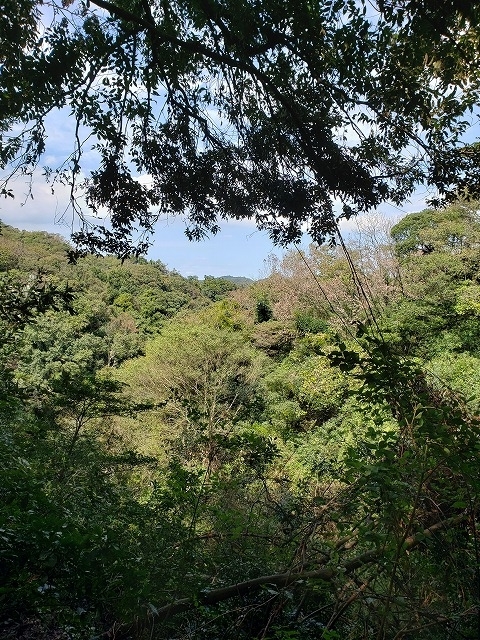 f:id:yuuko1220:20190926204657j:plain f:id:yuuko1220:20190926204657j:plain