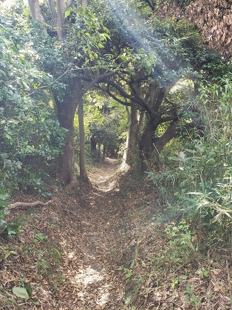f:id:yuuko1220:20190926204701j:plain f:id:yuuko1220:20190926204701j:plain