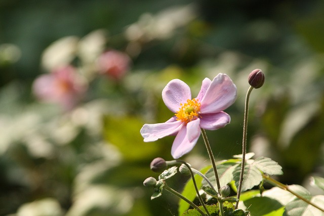 f:id:yuuko1220:20191002091357j:plain f:id:yuuko1220:20191002091357j:plain