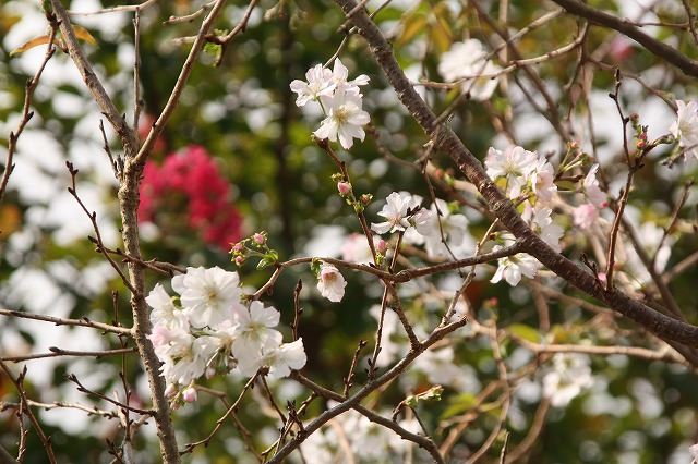f:id:yuuko1220:20191002091416j:plain f:id:yuuko1220:20191002091416j:plain