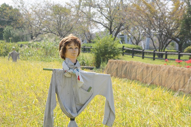 f:id:yuuko1220:20191002205509j:plain f:id:yuuko1220:20191002205509j:plain