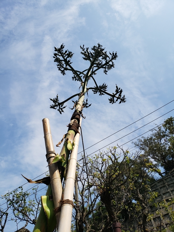 f:id:yuuko1220:20191002212526j:plain f:id:yuuko1220:20191002212526j:plain