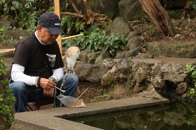f:id:yuuko1220:20191015214039j:plain f:id:yuuko1220:20191015214039j:plain