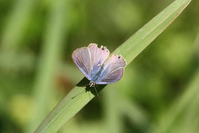 f:id:yuuko1220:20191025220140j:plain f:id:yuuko1220:20191025220140j:plain