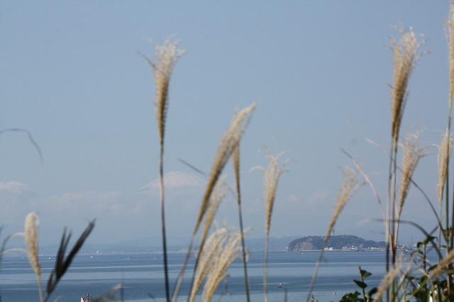 f:id:yuuko1220:20191106101947j:plain f:id:yuuko1220:20191106101947j:plain