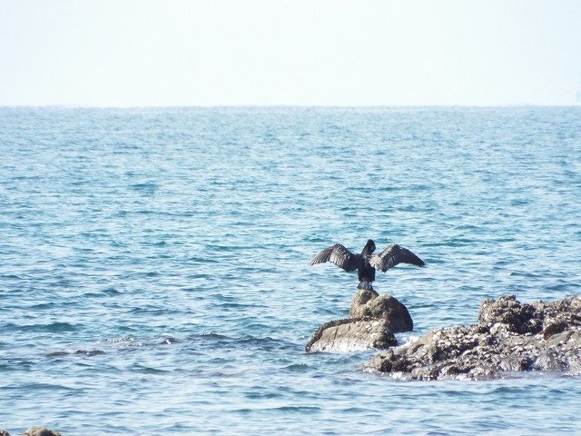 f:id:yuuko1220:20191106102103j:plain f:id:yuuko1220:20191106102103j:plain