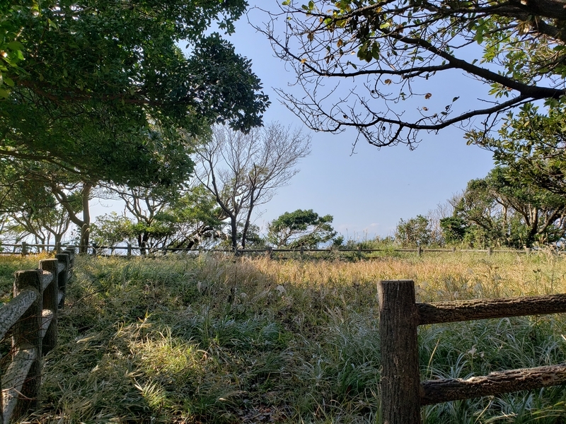 f:id:yuuko1220:20191106151529j:plain f:id:yuuko1220:20191106151529j:plain