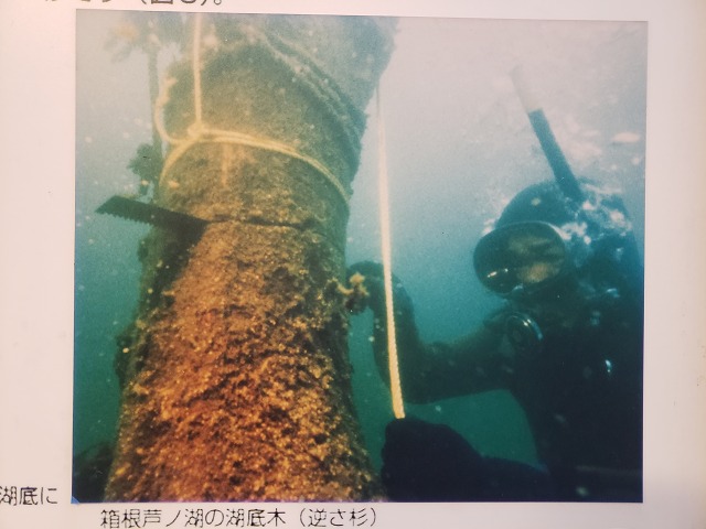 f:id:yuuko1220:20191130222017j:plain f:id:yuuko1220:20191130222017j:plain