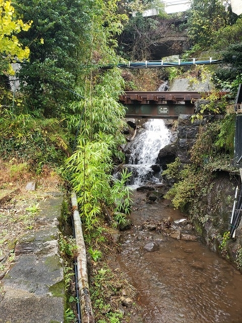 f:id:yuuko1220:20191130222102j:plain f:id:yuuko1220:20191130222102j:plain