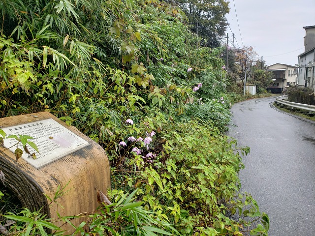 f:id:yuuko1220:20191130222107j:plain f:id:yuuko1220:20191130222107j:plain