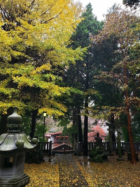 f:id:yuuko1220:20191130222122j:plain f:id:yuuko1220:20191130222122j:plain