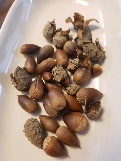 f:id:yuuko1220:20191130223216j:plain f:id:yuuko1220:20191130223216j:plain