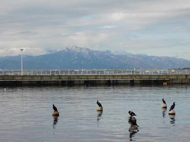 f:id:yuuko1220:20191223215831j:plain