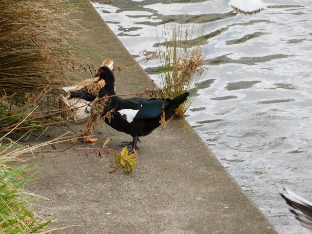 f:id:yuuko1220:20191223215856j:plain