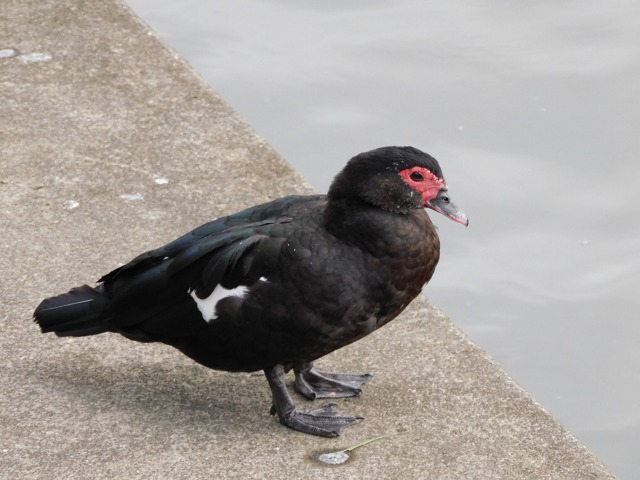 f:id:yuuko1220:20191223215911j:plain f:id:yuuko1220:20191223215911j:plain