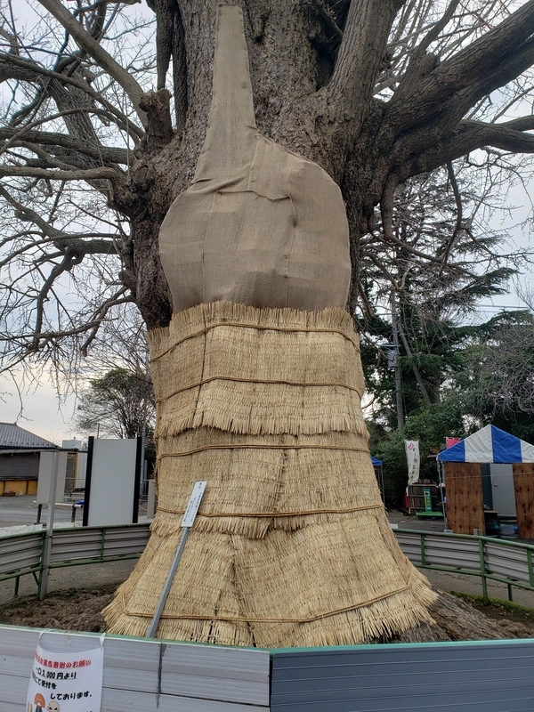 f:id:yuuko1220:20191230160405j:plain f:id:yuuko1220:20191230160405j:plain