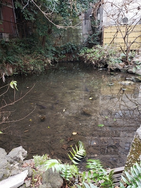 f:id:yuuko1220:20200123155150j:plain f:id:yuuko1220:20200123155150j:plain
