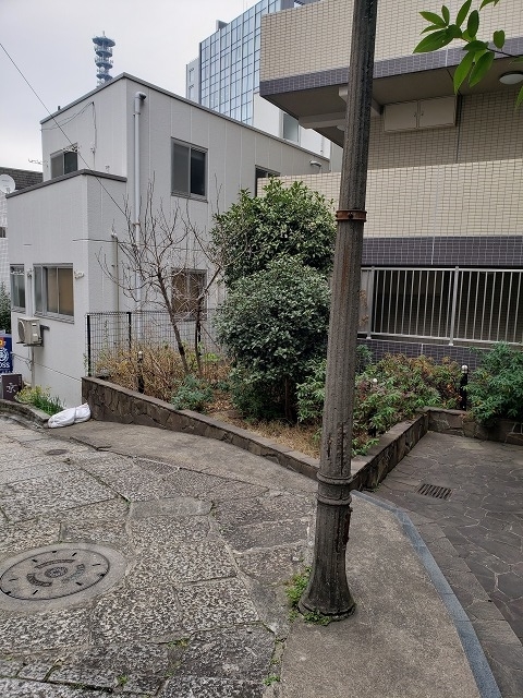 f:id:yuuko1220:20200123155228j:plain f:id:yuuko1220:20200123155228j:plain
