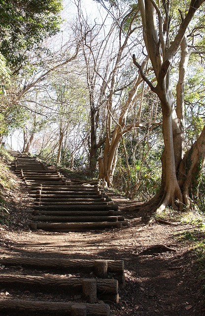f:id:yuuko1220:20200205185444j:plain f:id:yuuko1220:20200205185444j:plain