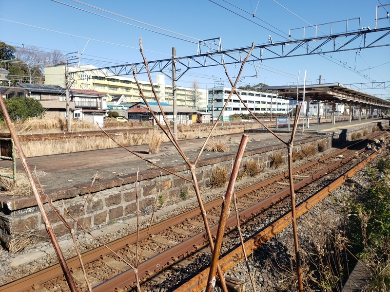 f:id:yuuko1220:20200205194940j:plain f:id:yuuko1220:20200205194940j:plain