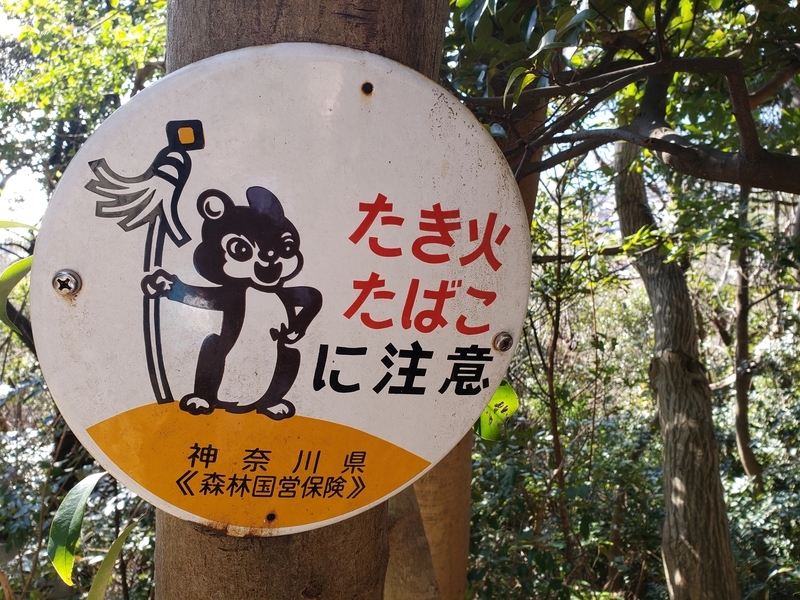 f:id:yuuko1220:20200205203913j:plain f:id:yuuko1220:20200205203913j:plain