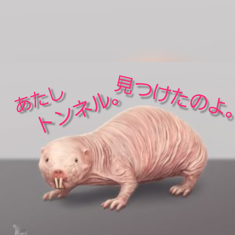 f:id:yuuko1220:20200205213336j:plain f:id:yuuko1220:20200205213336j:plain