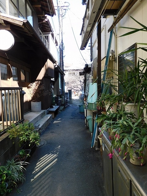 f:id:yuuko1220:20200210123512j:plain