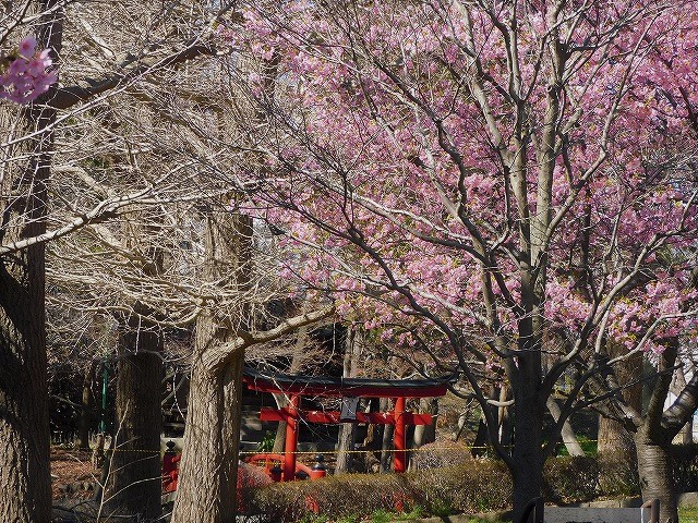 f:id:yuuko1220:20200217170903j:plain f:id:yuuko1220:20200217170903j:plain