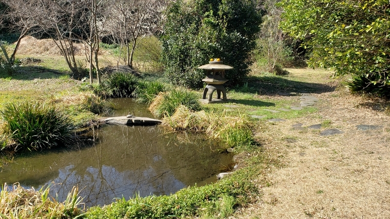 f:id:yuuko1220:20200223170051j:plain f:id:yuuko1220:20200223170051j:plain