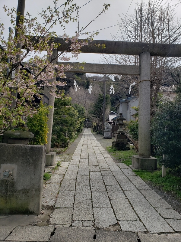 f:id:yuuko1220:20200309100532j:plain f:id:yuuko1220:20200309100532j:plain