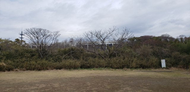 f:id:yuuko1220:20200324210735j:plain f:id:yuuko1220:20200324210735j:plain