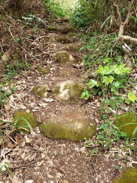 f:id:yuuko1220:20200324210823j:plain f:id:yuuko1220:20200324210823j:plain