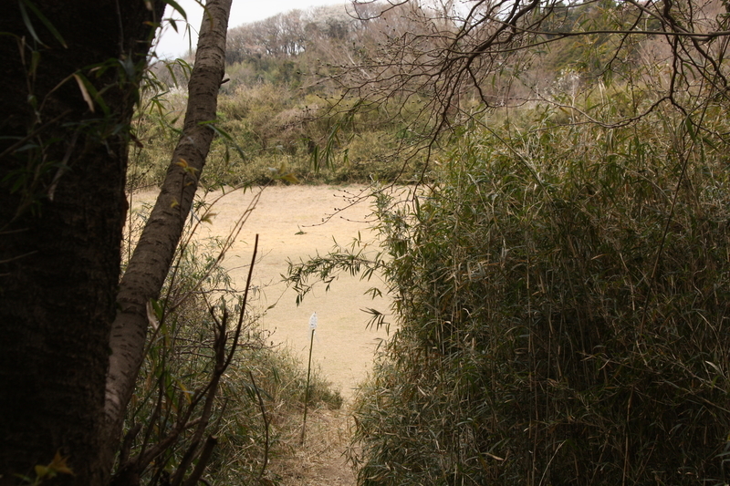 f:id:yuuko1220:20200324212910j:plain f:id:yuuko1220:20200324212910j:plain