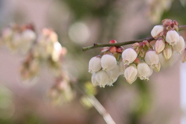 f:id:yuuko1220:20200324215247j:plain f:id:yuuko1220:20200324215247j:plain