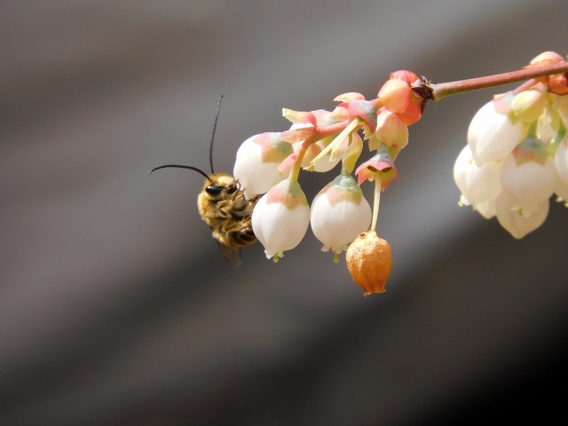 f:id:yuuko1220:20200410212704j:plain f:id:yuuko1220:20200410212704j:plain