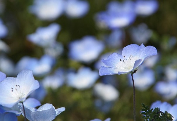 f:id:yuuko1220:20200410215241j:plain f:id:yuuko1220:20200410215241j:plain