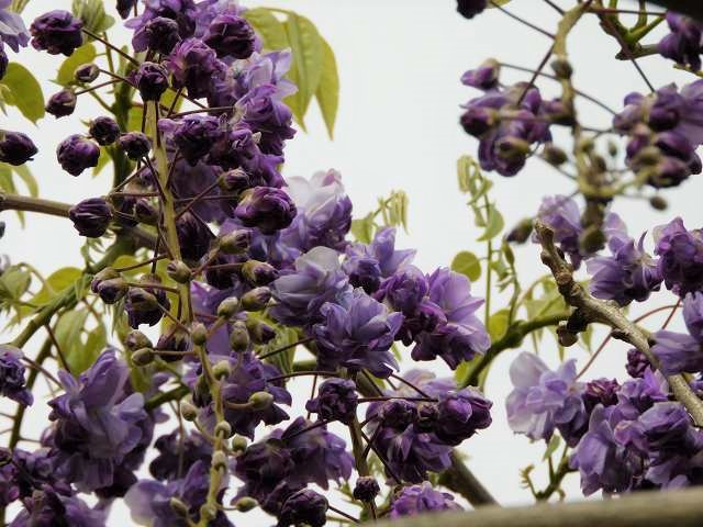 f:id:yuuko1220:20200422213643j:plain f:id:yuuko1220:20200422213643j:plain