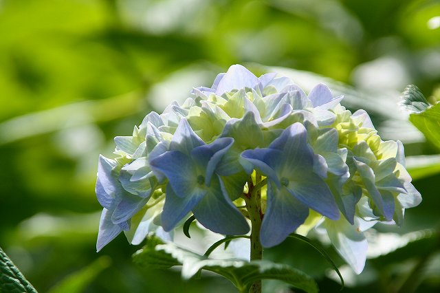 f:id:yuuko1220:20200526213250j:plain f:id:yuuko1220:20200526213250j:plain