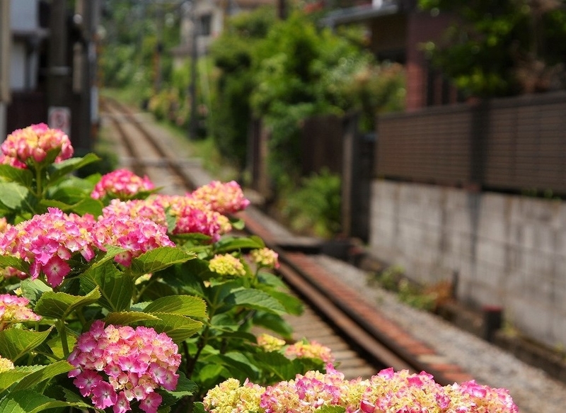 f:id:yuuko1220:20200603222640j:plain f:id:yuuko1220:20200603222640j:plain