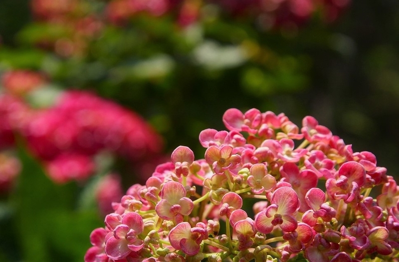 f:id:yuuko1220:20200603222654j:plain f:id:yuuko1220:20200603222654j:plain