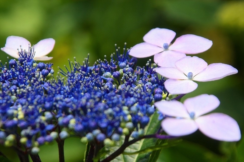 f:id:yuuko1220:20200603222708j:plain f:id:yuuko1220:20200603222708j:plain