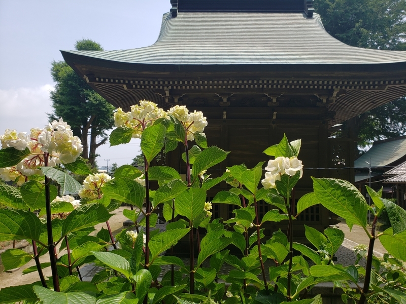 f:id:yuuko1220:20200604105242j:plain f:id:yuuko1220:20200604105242j:plain